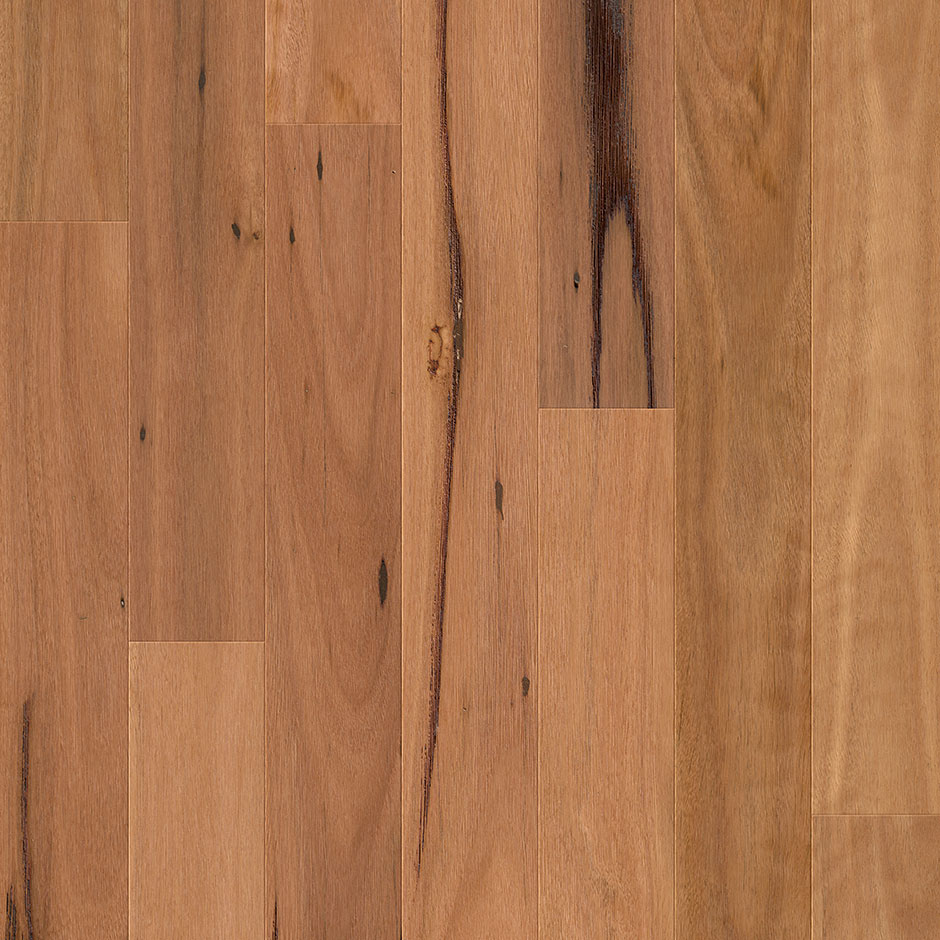 Premium Compact Blackbutt 1 Strip