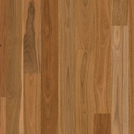 Premium ReadyFlor Spotted Gum 1 Strip