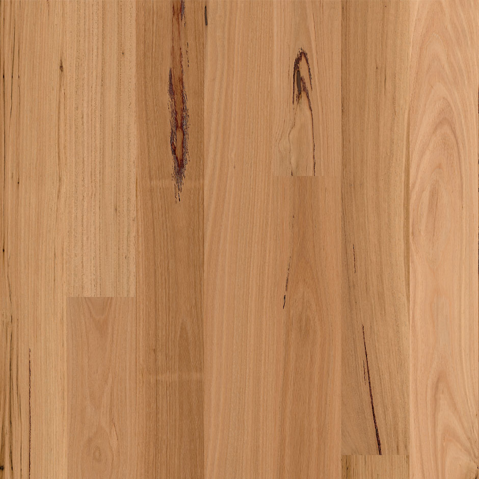 Premium ReadyFlor XL Blackbutt 1 Strip