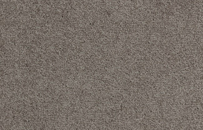 Beaulieu Critics Choice Sorrell